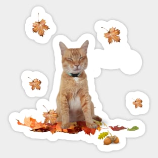 Orange Cat Enjoying Autumn Sticker